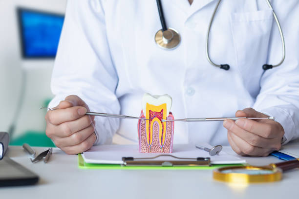 Best Urgent Care for Lost Fillings or Crowns in , ND